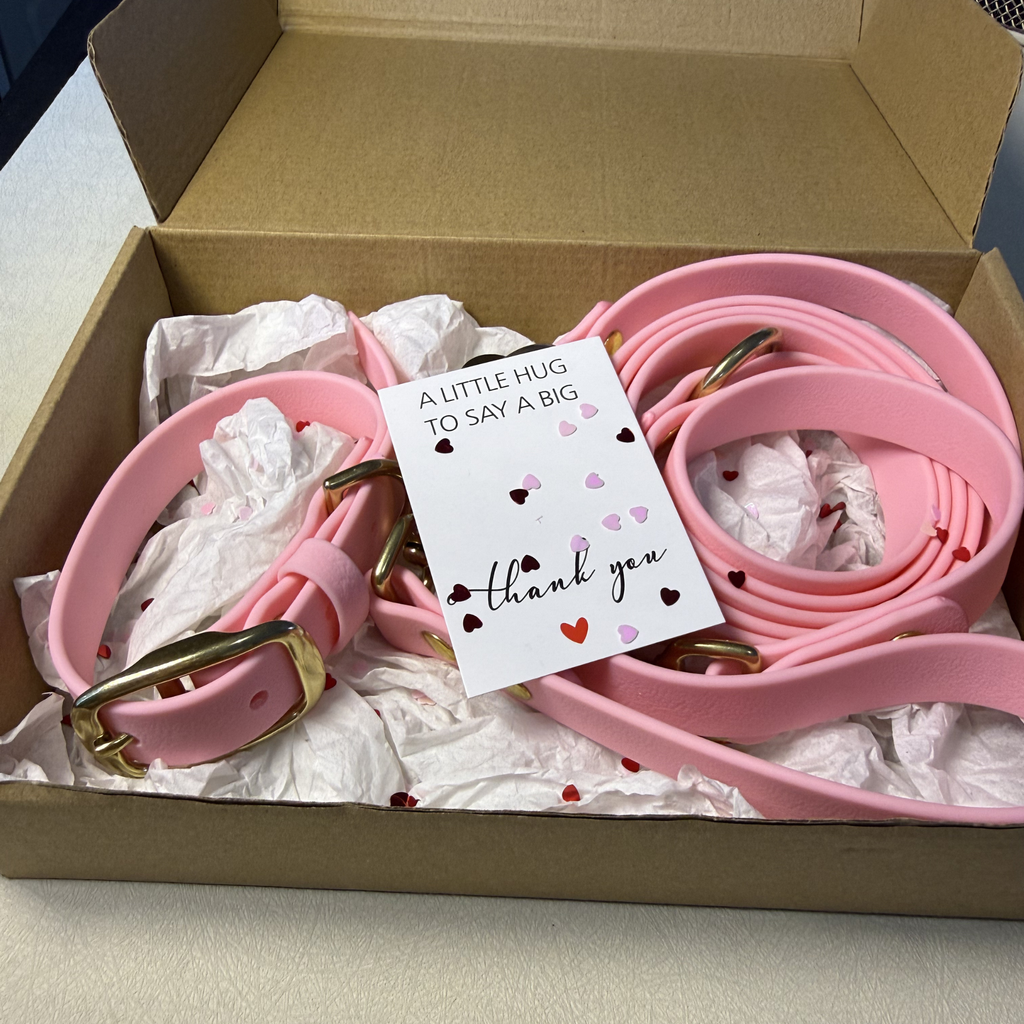 Baby Pink Dog Collar & Leash Set