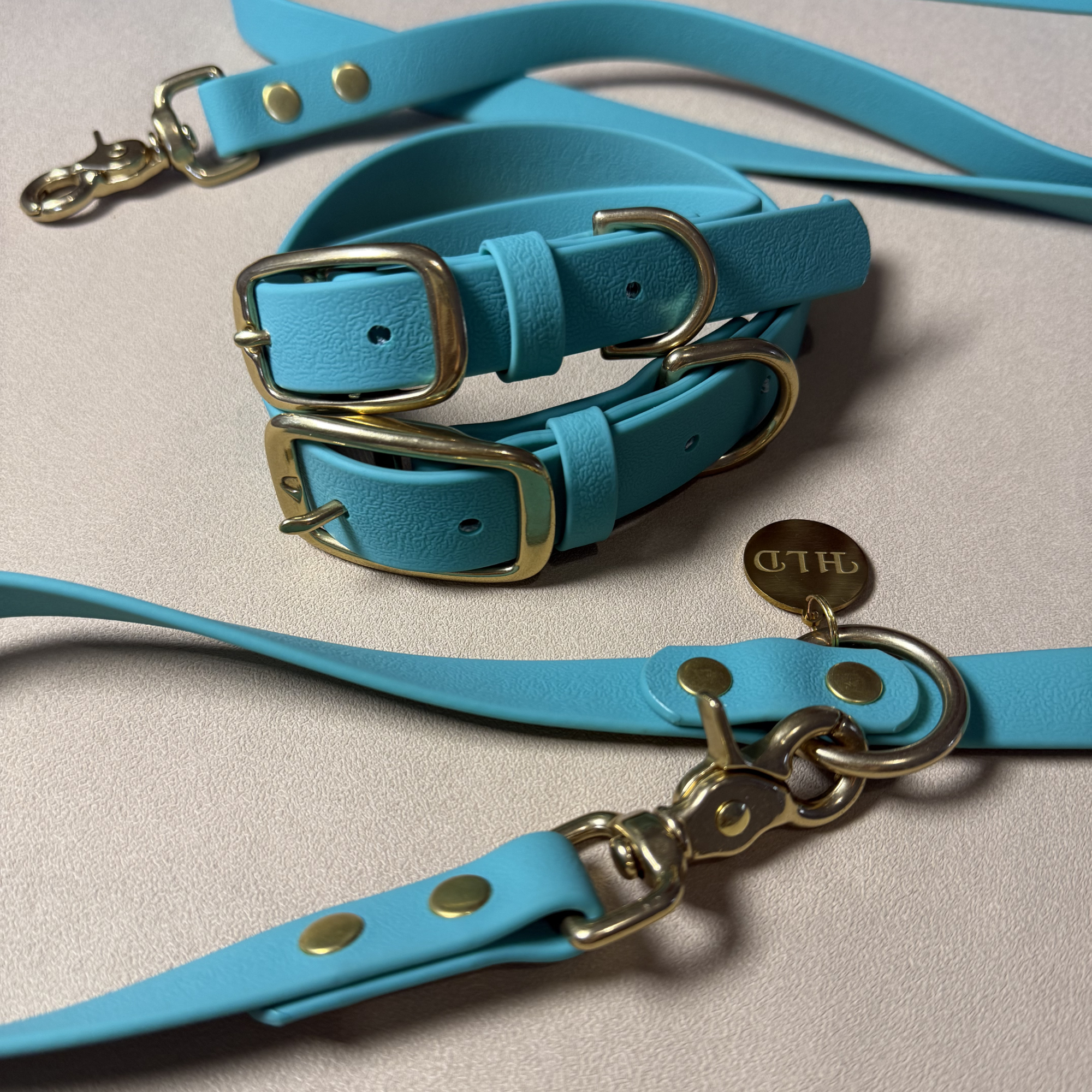 Teal Dog Collar & Leash Set