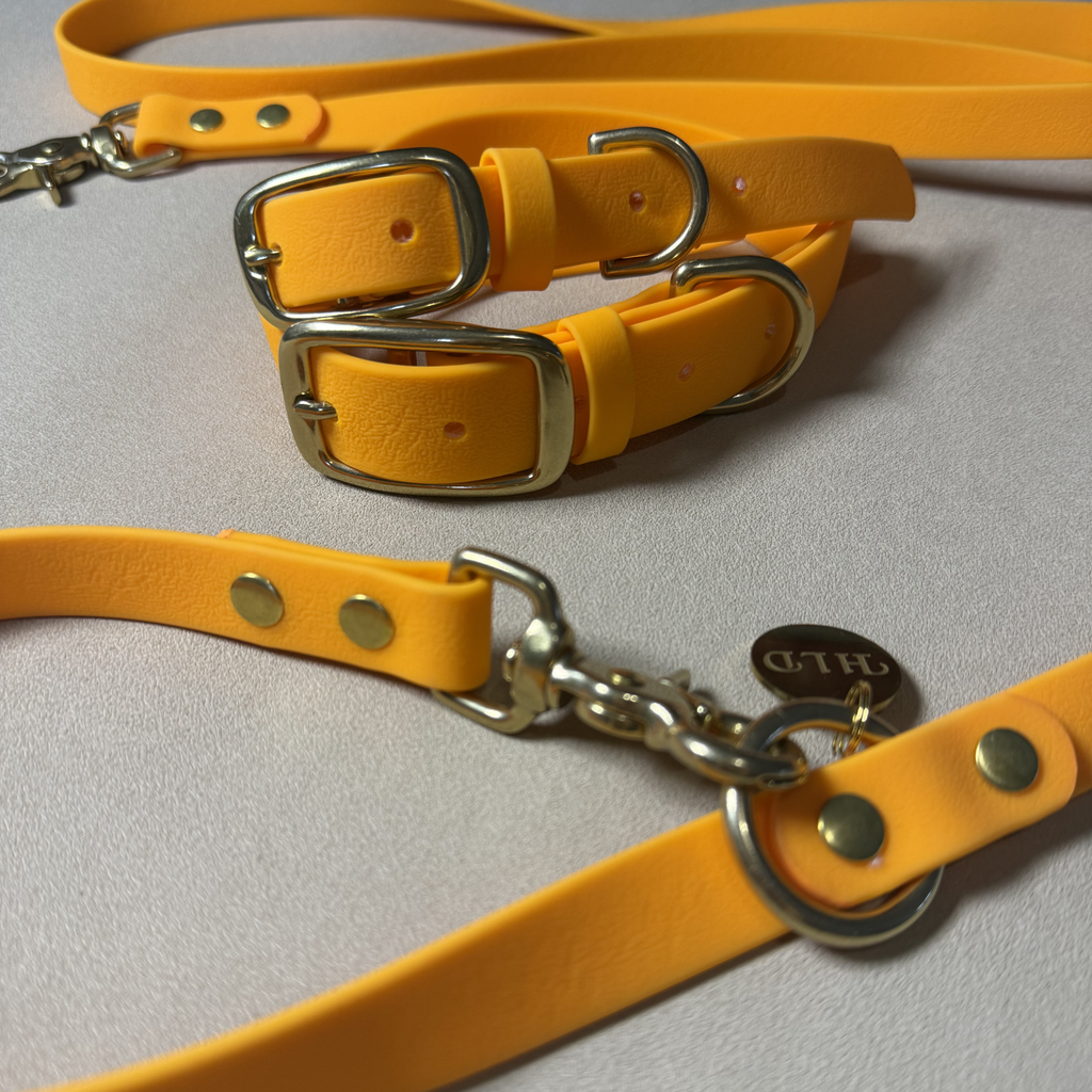 Orange Dog Collar & Leash Set