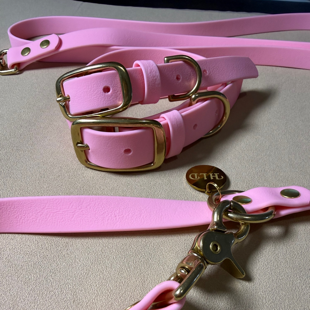 Baby Pink Dog Collar & Leash Set