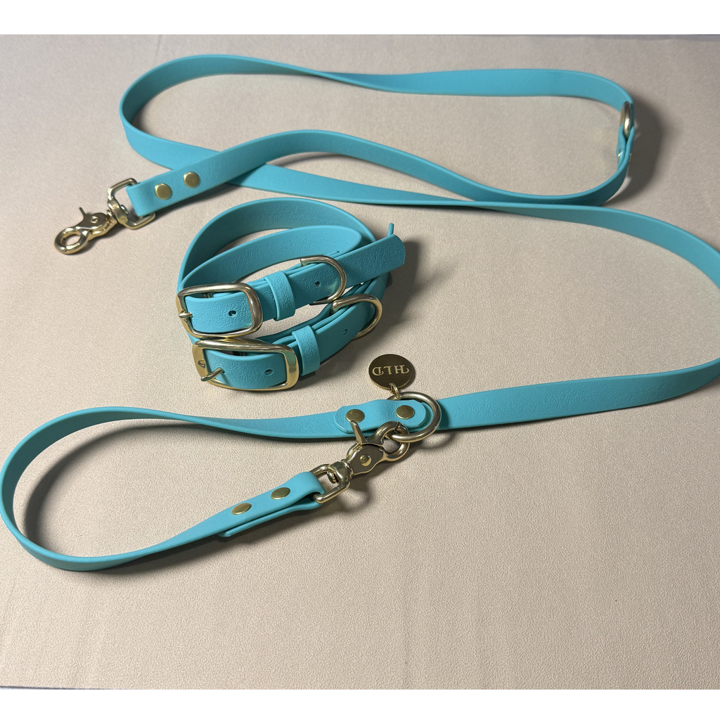 Teal Dog Collar & Leash Set