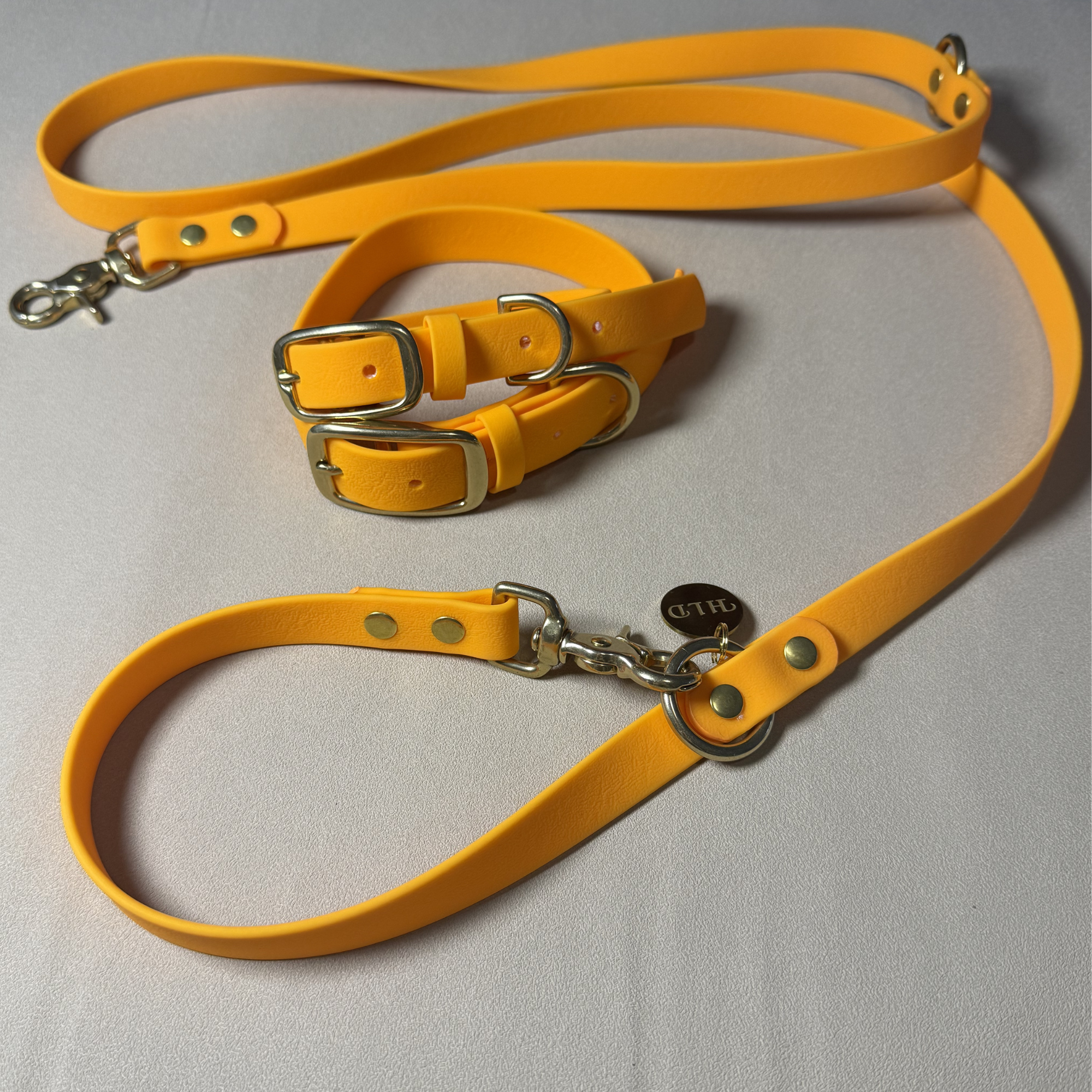 Orange Dog Collar & Leash Set