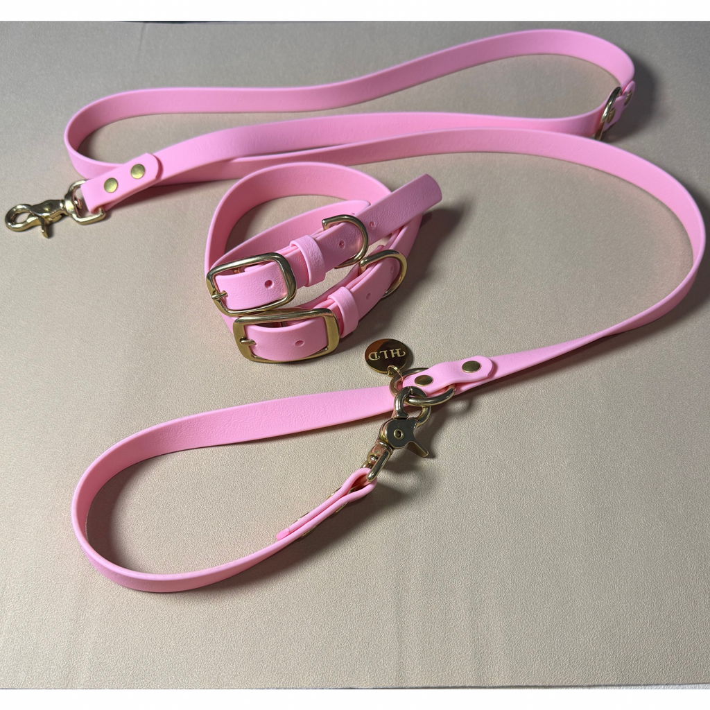 Baby Pink Dog Collar & Leash Set