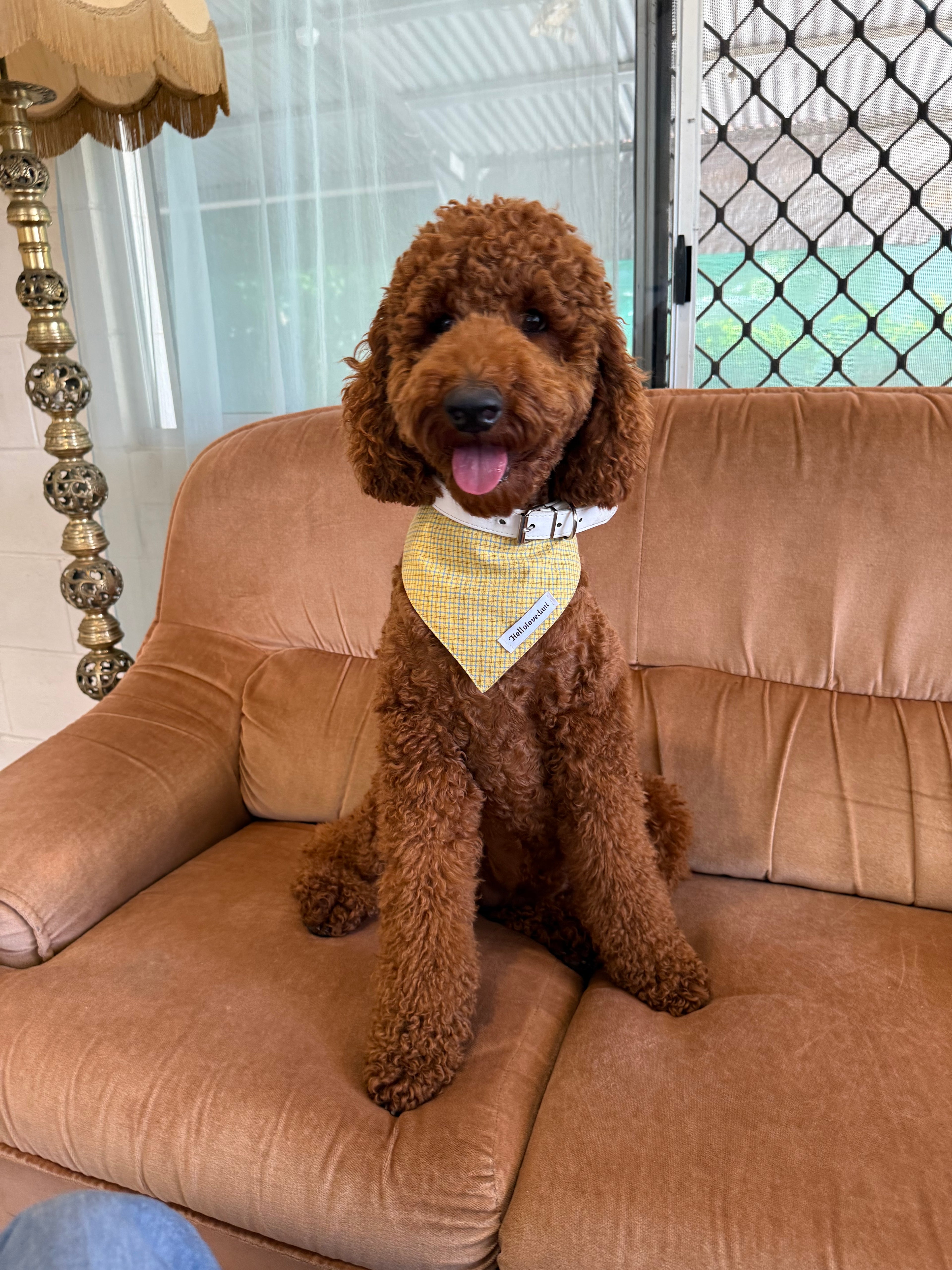 DIY Dog Bandana & Scrunchie Set Sewing Pattern PDF + Video Tutorial